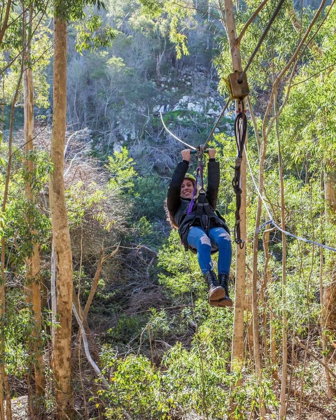 Ziplining in Constantia - SA Forest Adventures