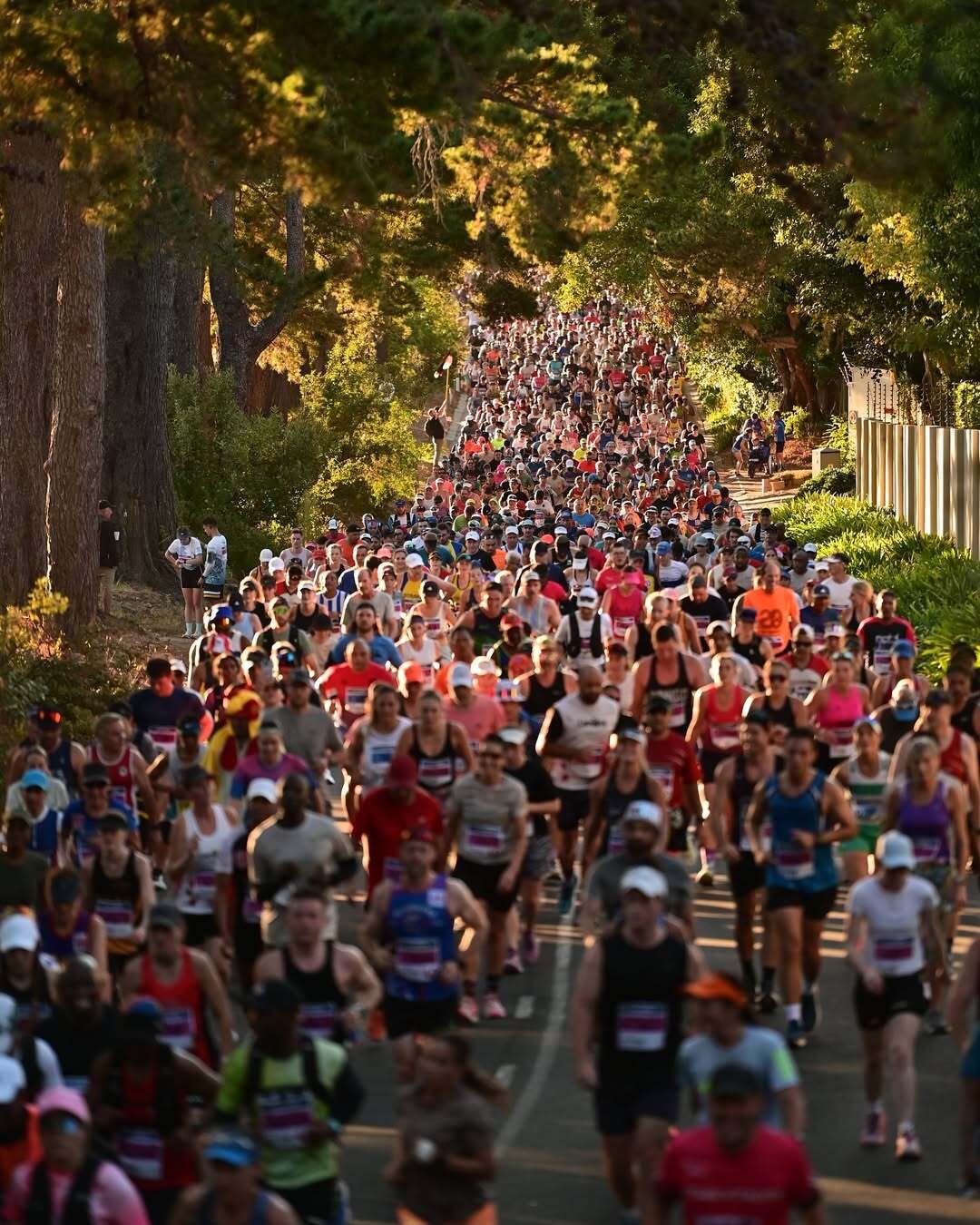 TotalSports Two Ocean Marathon