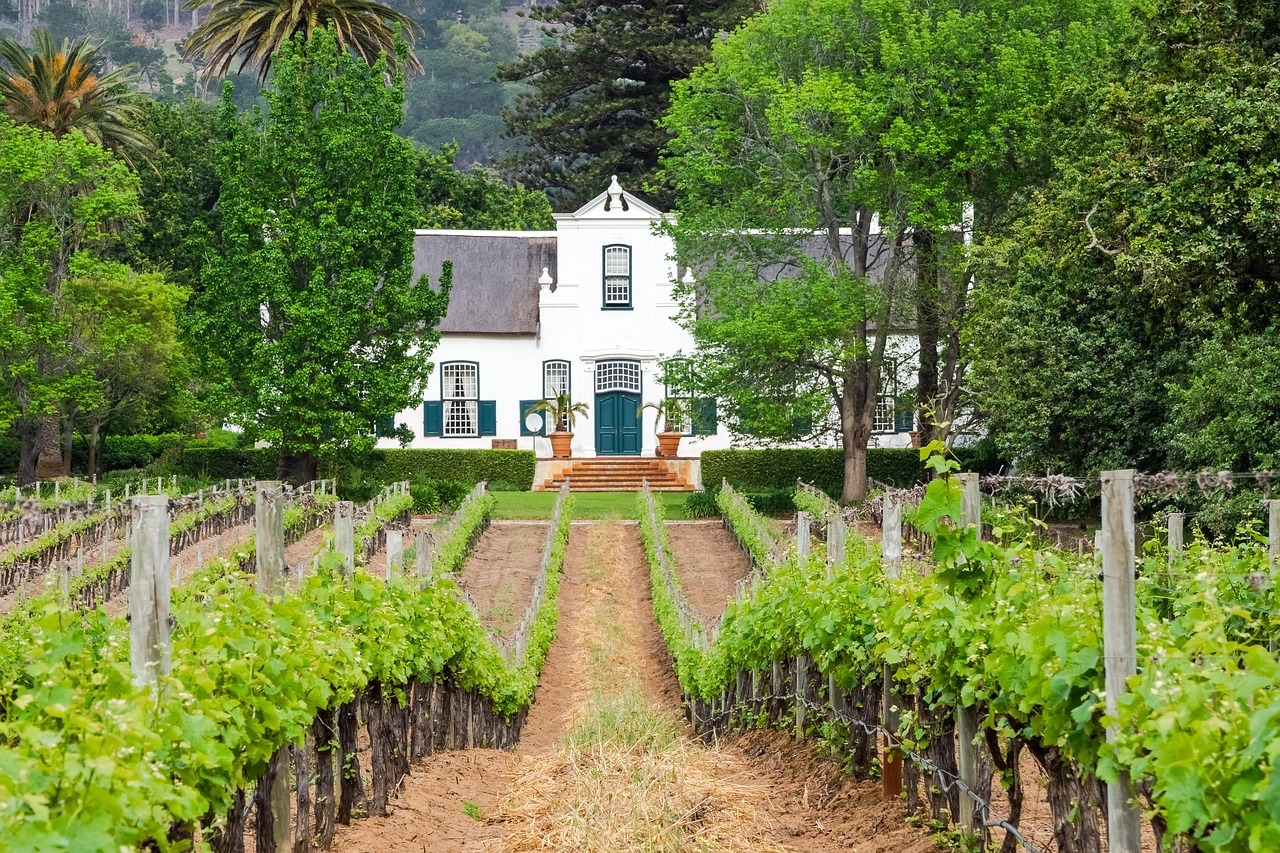 Cape Wine Farm