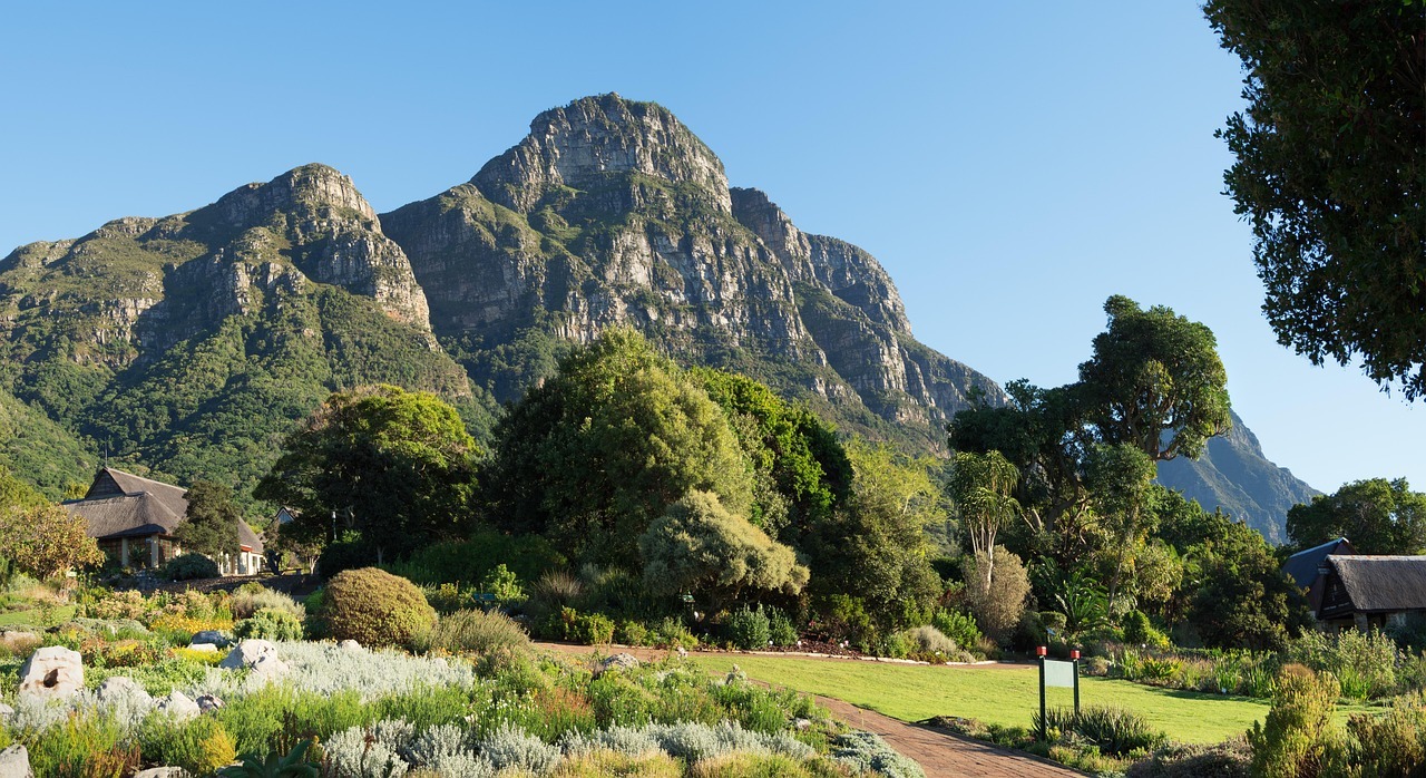 Kirstenbosch Gardens paths with mountain in background