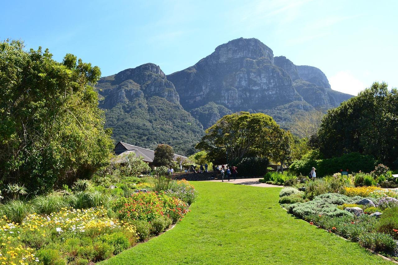 Kirstenbosch Botanical Garden (1)