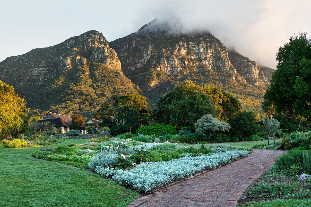 Kirstenbosch Gardens