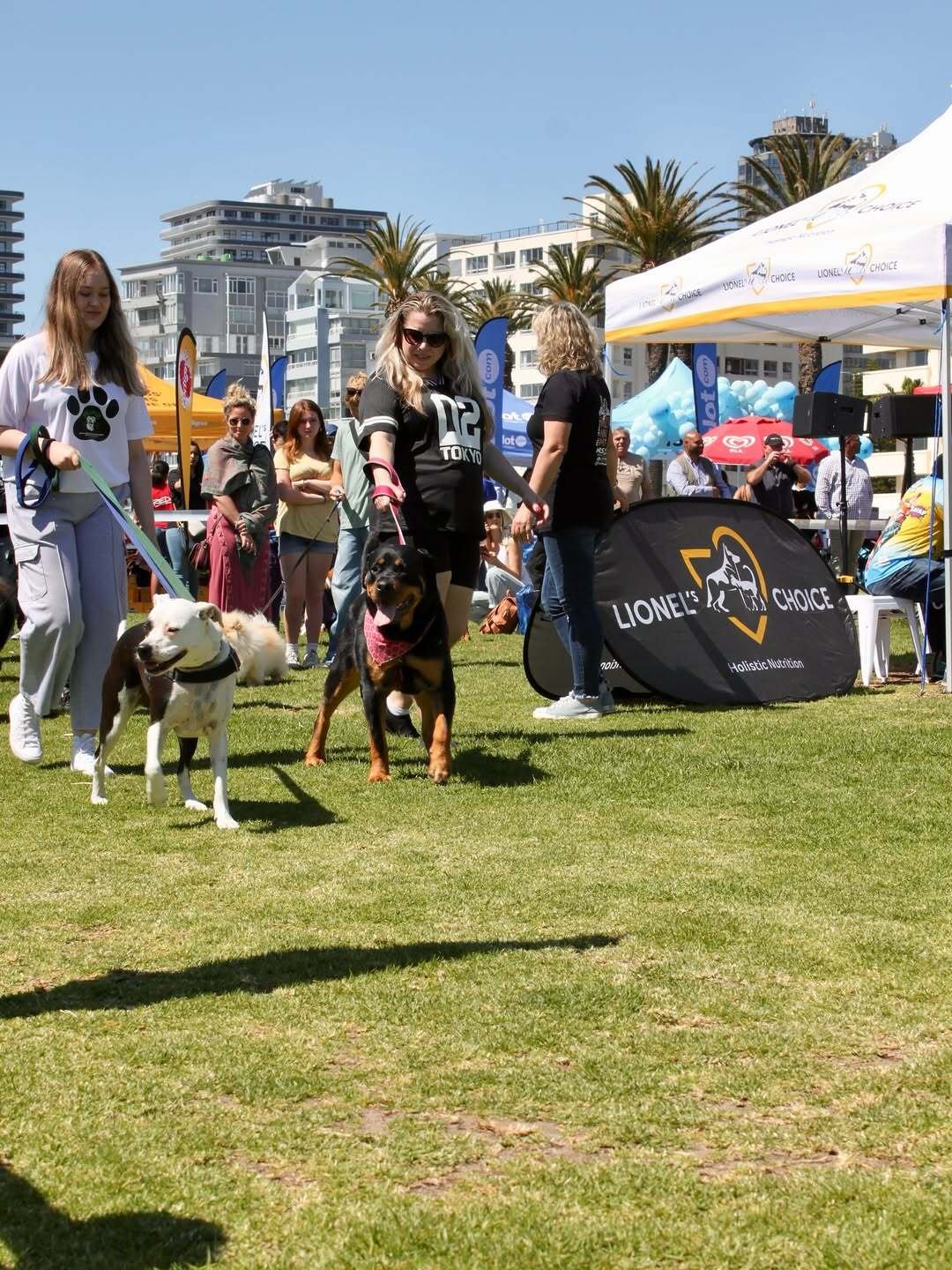 pawsawhile pet fair