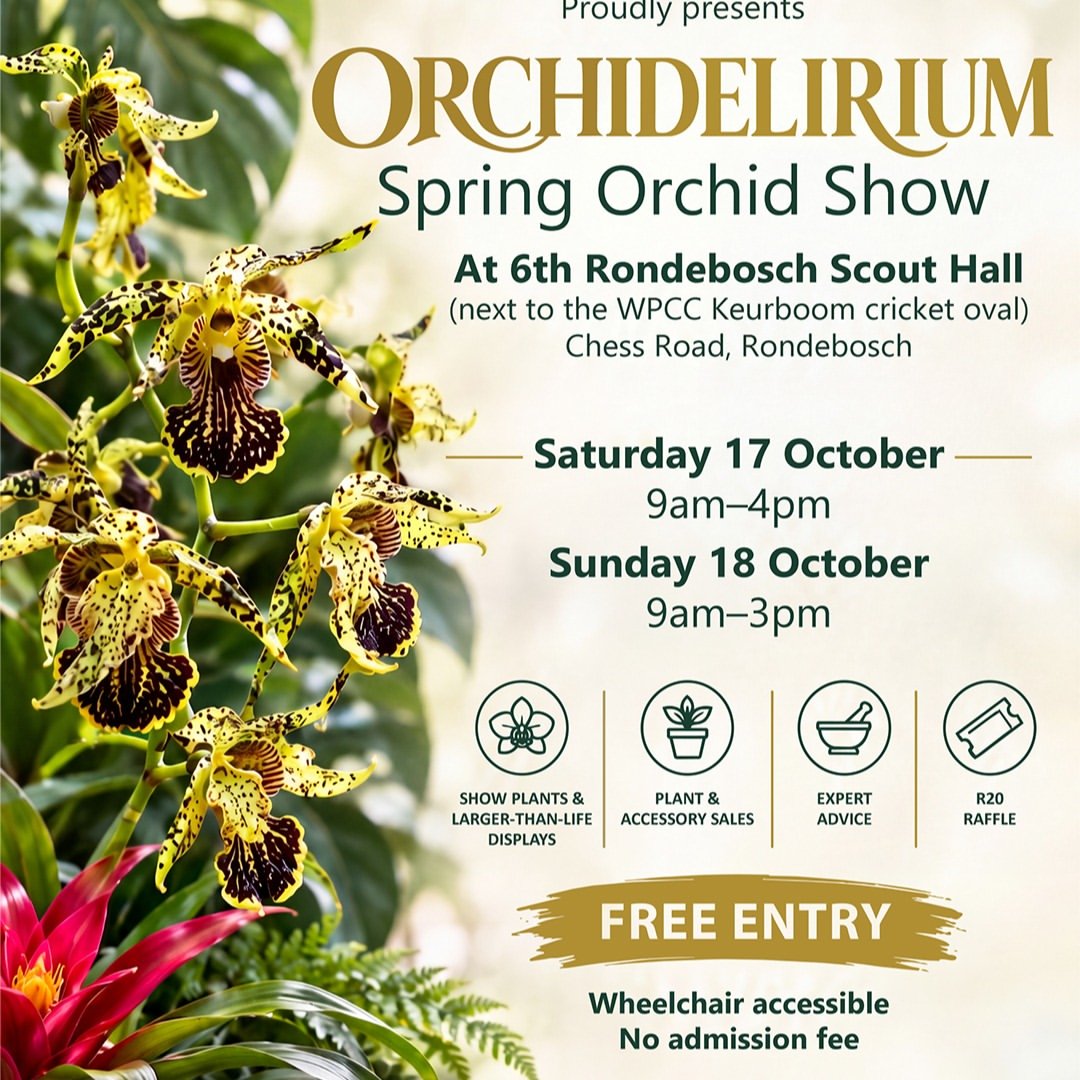 🌸 ORCHIDELIRIUM – Spring Orchid Show 🌸Feed your orchid obsession – without the jungle expediti