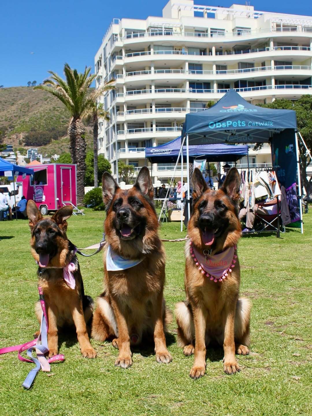 Paws-a-While Pet Fair & Market