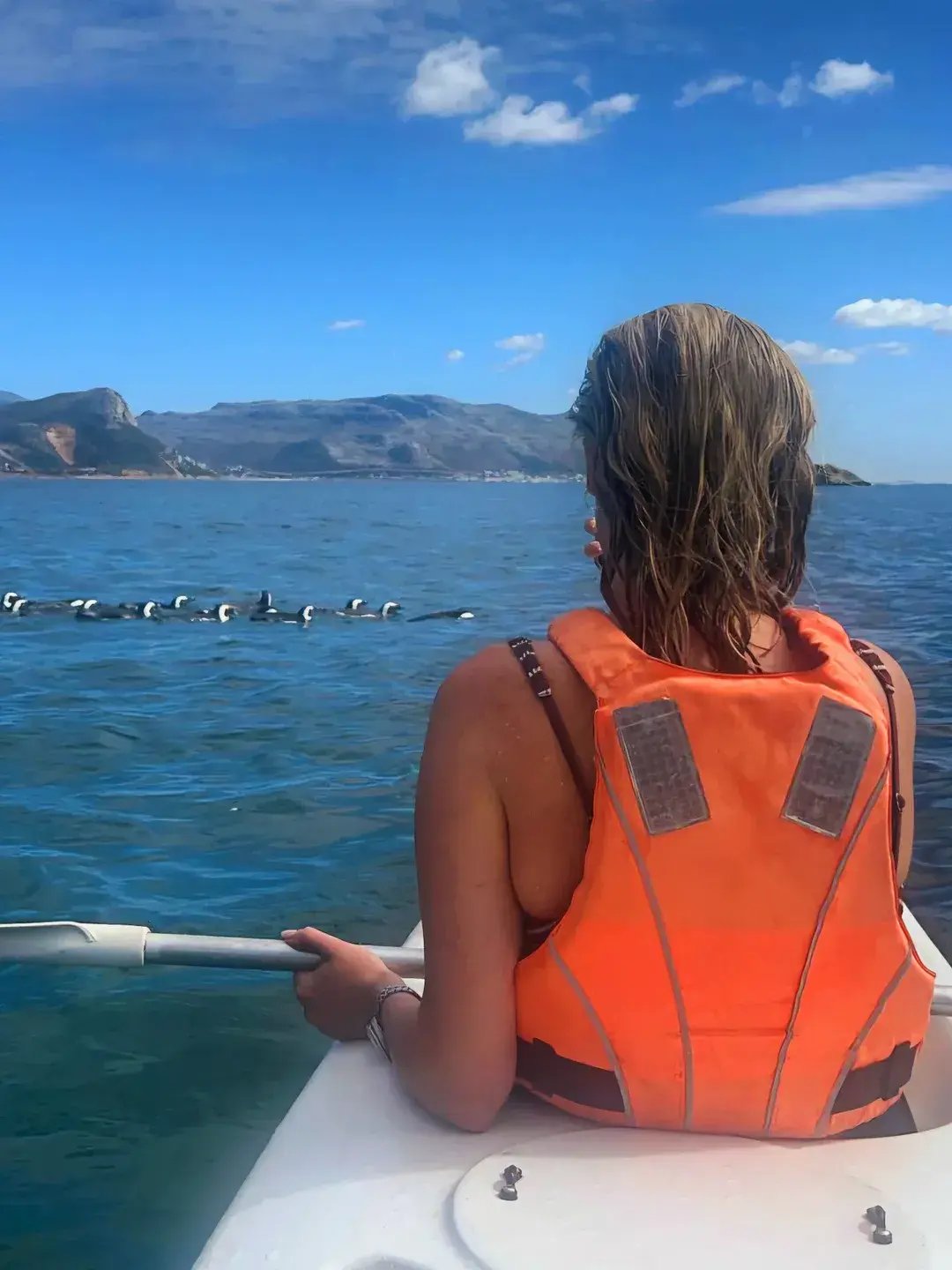 Simons Town Kayaking Experiences