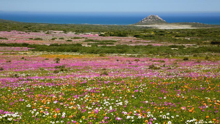 West Coast National Park (1)