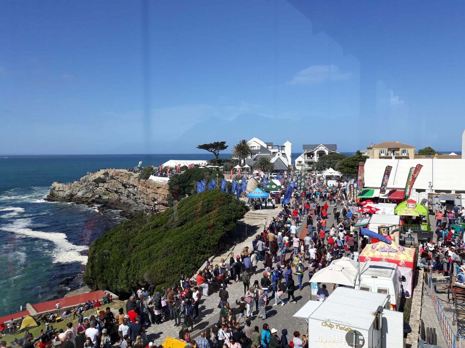 Hermanus Whale Festival