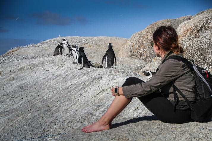 Woman watching penguins at Boulders Beach