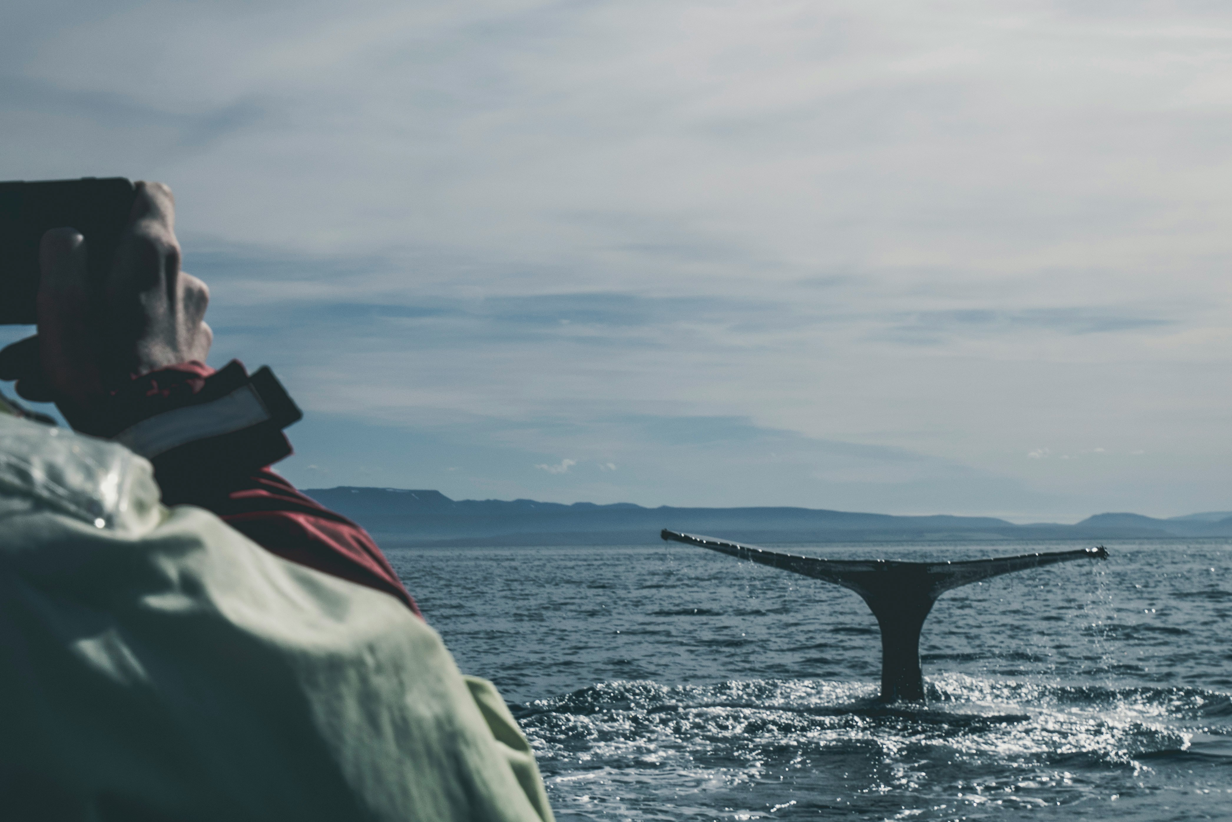 davide-cantelli-e_NSrvyDN84-unsplash