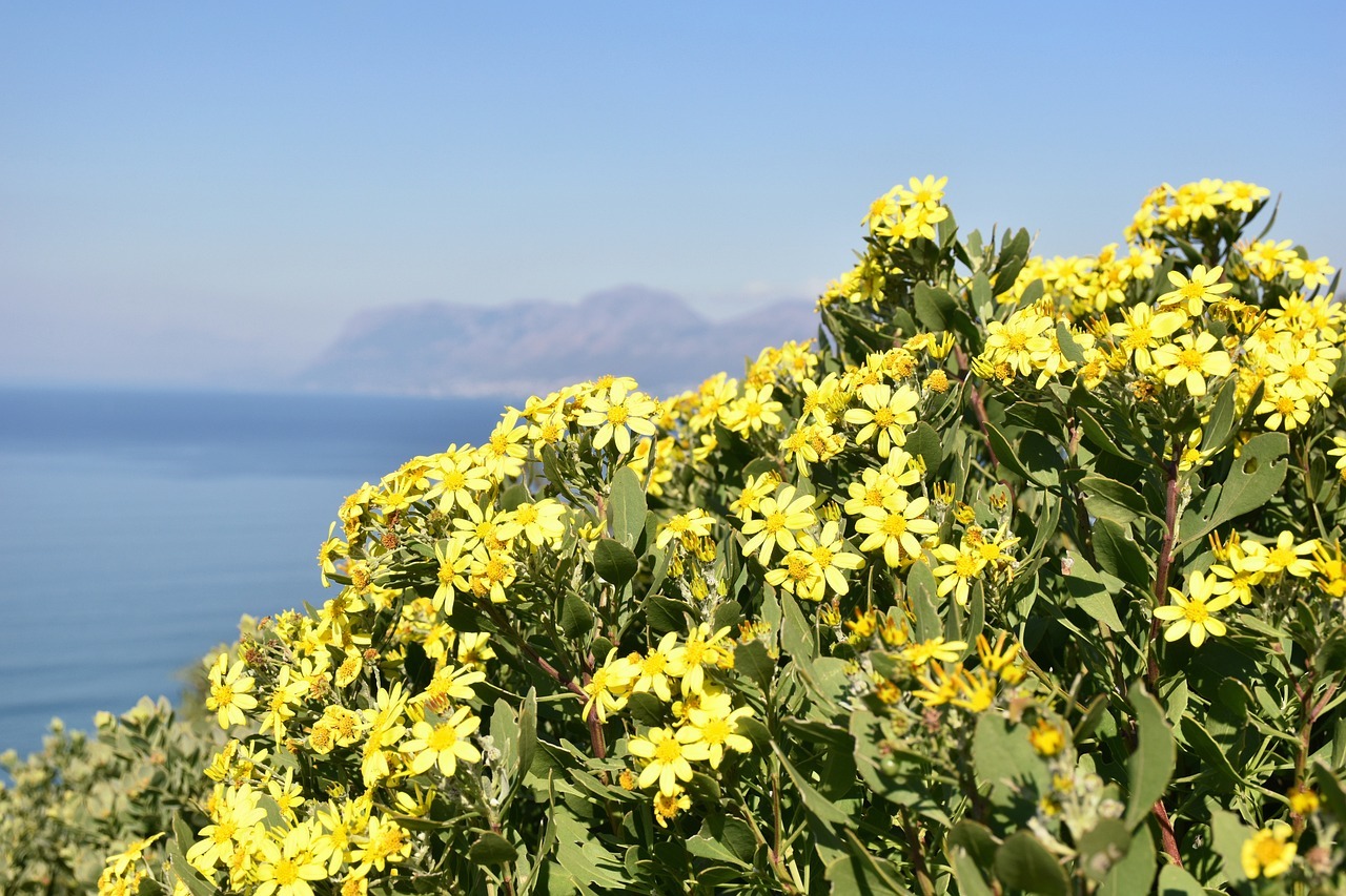 false-bay-5445977_1280