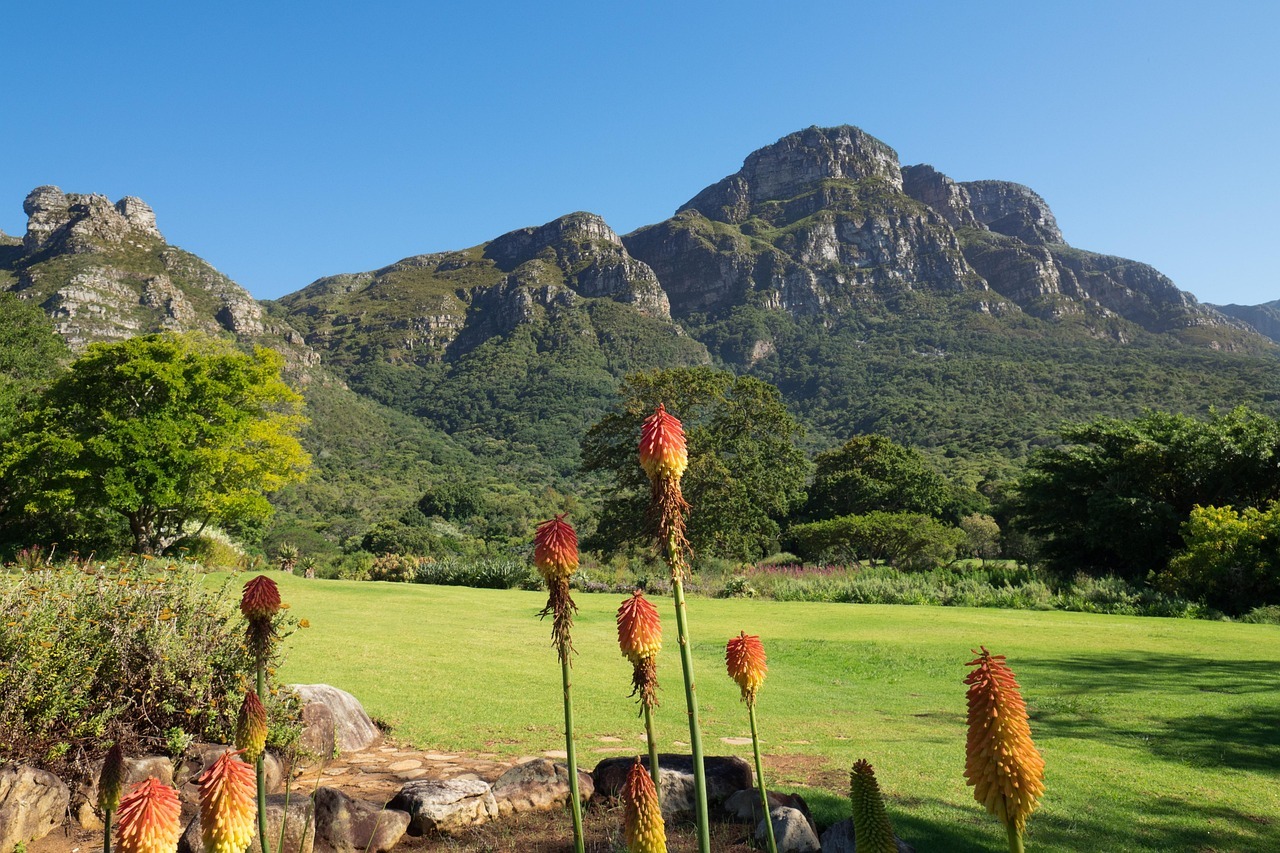 kirstenbosch-botanical-garden-3242485_1280