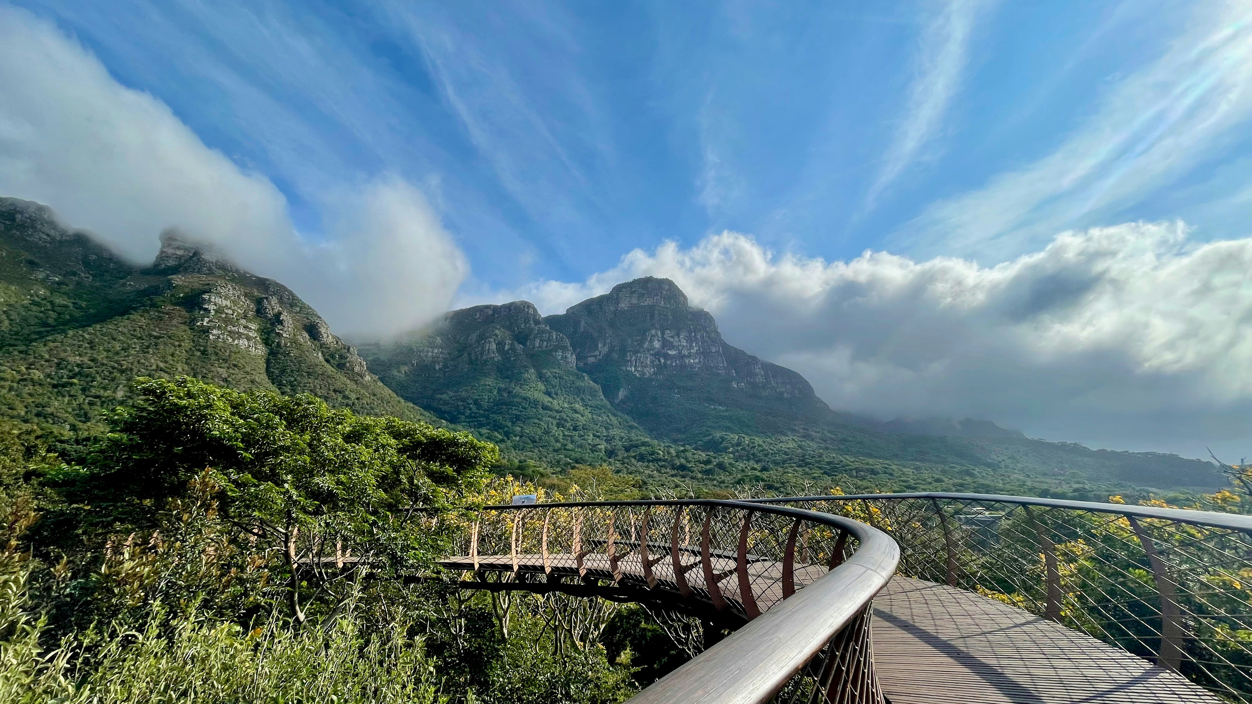 Boomslang Walkway at Kirstenbosch Gardens