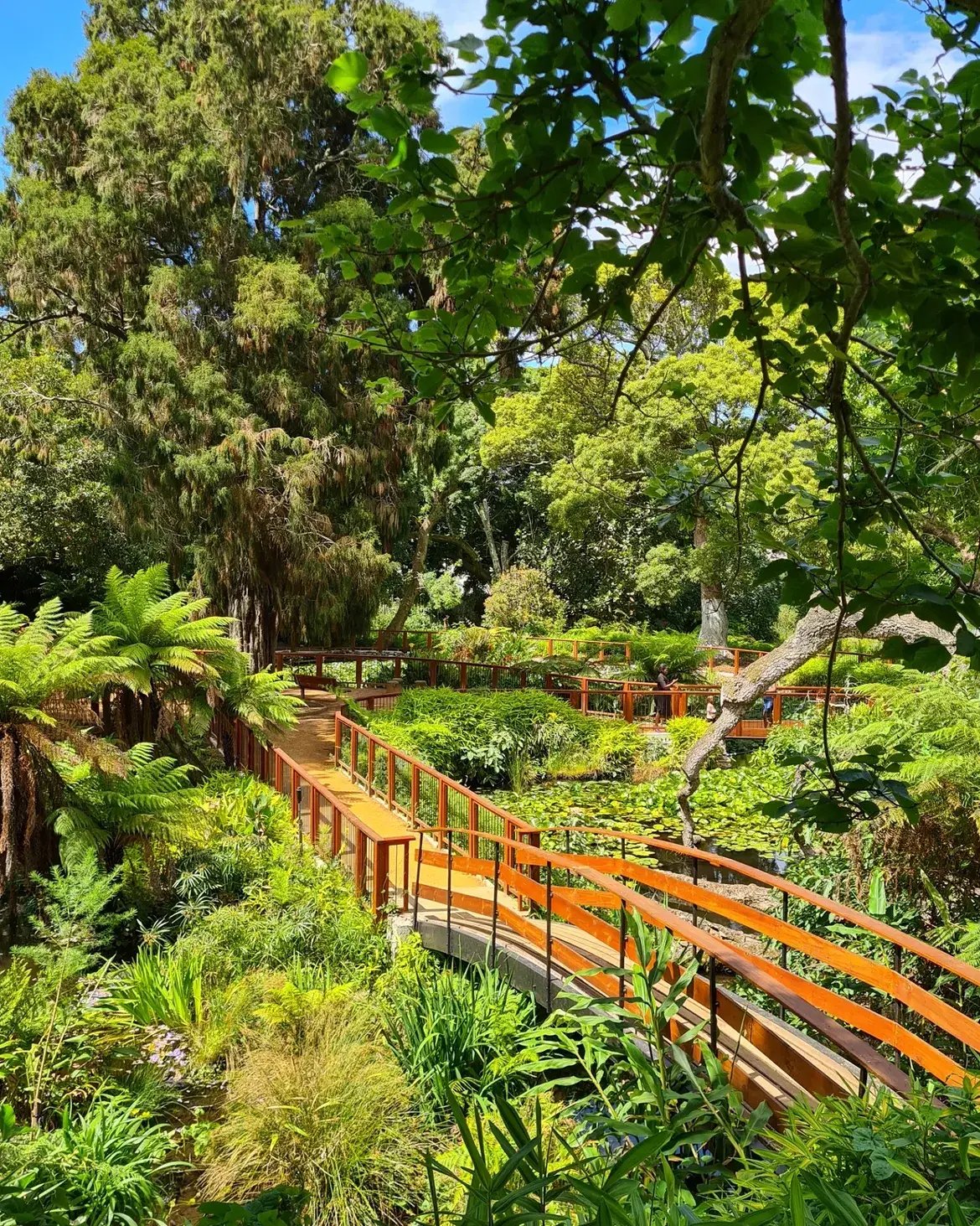 Ardene Gardens 